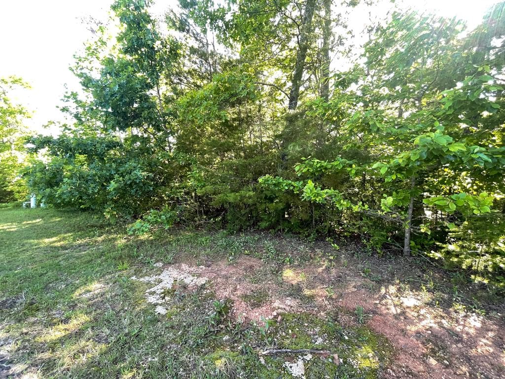 Lot 20 Big Cove Drive, Hiawassee GA 30546 - Primary photo