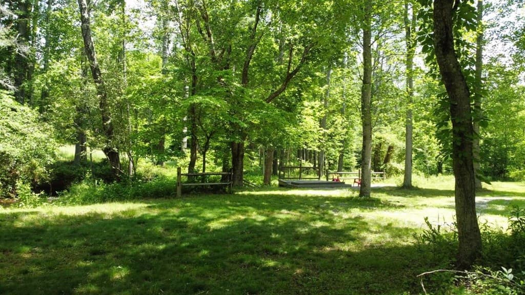 Tract 1 Timber Ridge Road, Blairsville GA 30512 - Photo