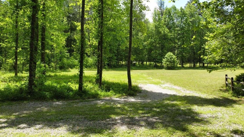 Tract 1 Timber Ridge Road, Blairsville GA 30512 - Photo