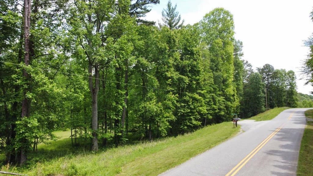 Tract 1 Timber Ridge Road, Blairsville GA 30512 - Photo