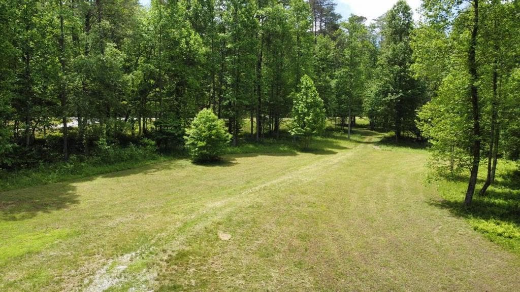 Tract 1 Timber Ridge Road, Blairsville GA 30512 - Photo