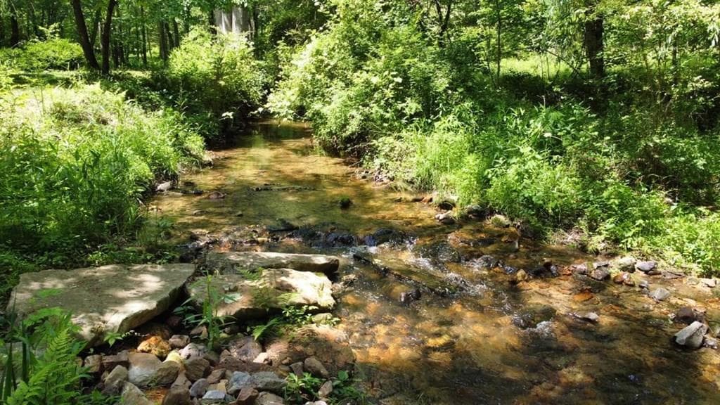 Tract 1 Timber Ridge Road, Blairsville GA 30512 - Primary photo