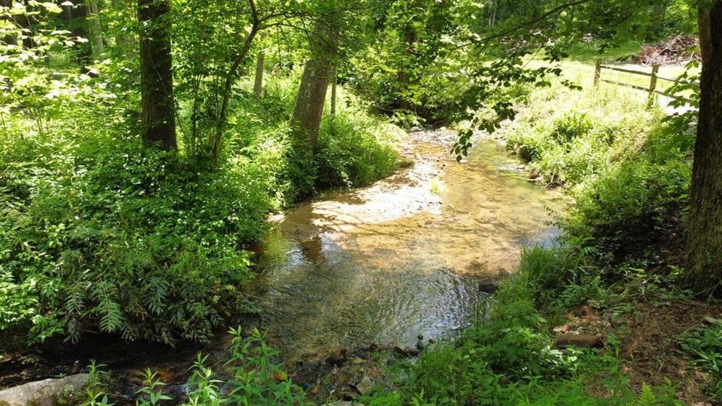 Tract 2 Timber Ridge Road, Blairsville GA 30512 - Photo
