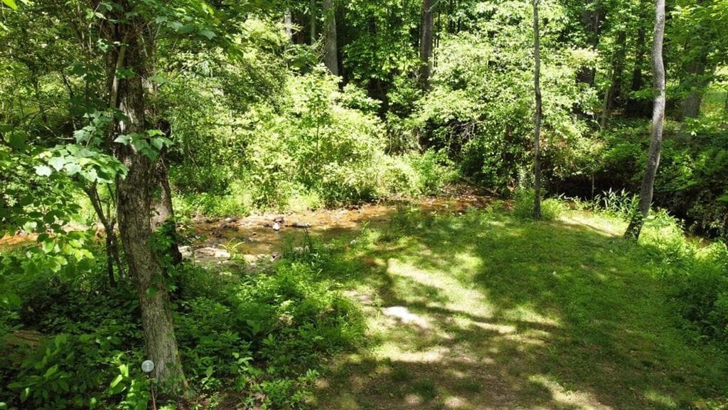 Tract 2 Timber Ridge Road, Blairsville GA 30512 - Photo