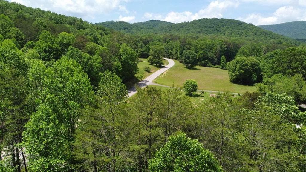 Tract 2 Timber Ridge Road, Blairsville GA 30512 - Photo