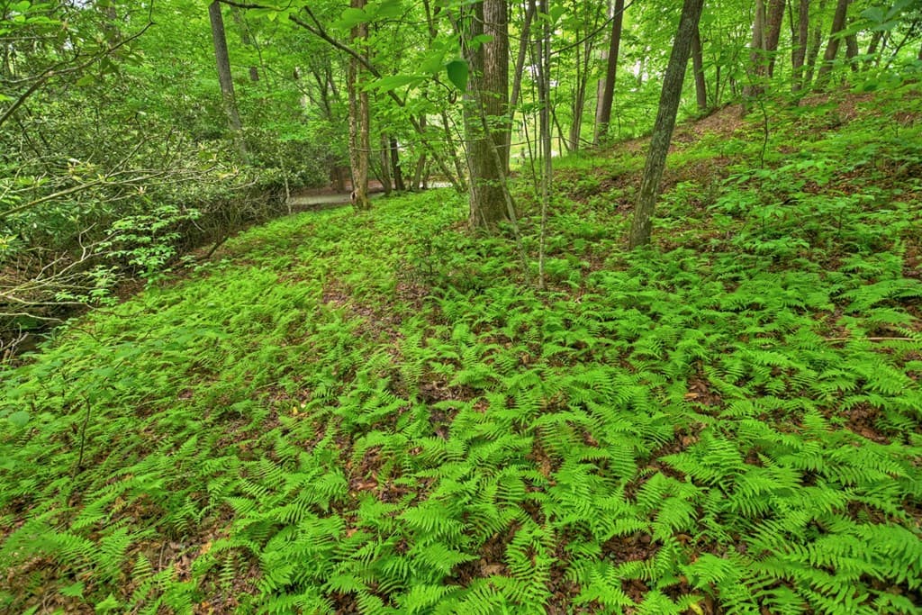 Lot 68 Riverwalk On The Toc, Mineral Bluff GA 30559 - Photo
