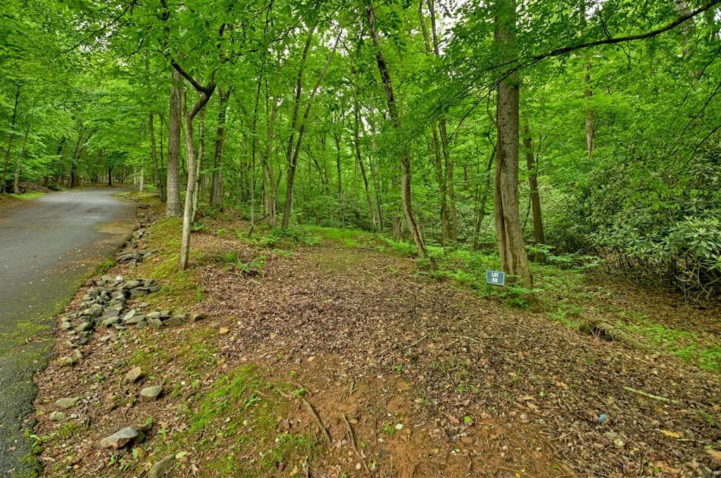 Lot 68 Riverwalk On The Toc, Mineral Bluff GA 30559 - Photo