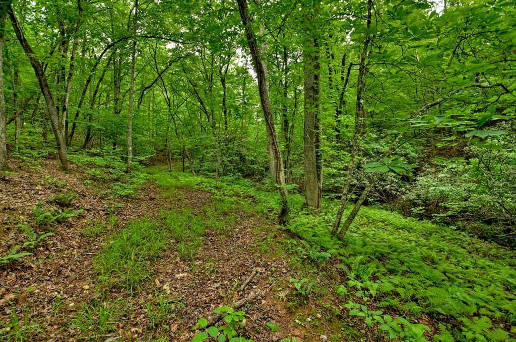 Lot 68 Riverwalk On The Toc, Mineral Bluff GA 30559 - Photo