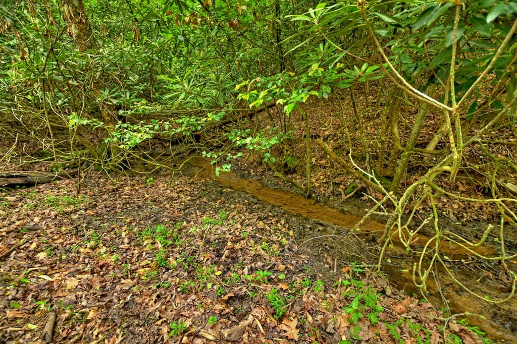 Lot 68 Riverwalk On The Toc, Mineral Bluff GA 30559 - Photo