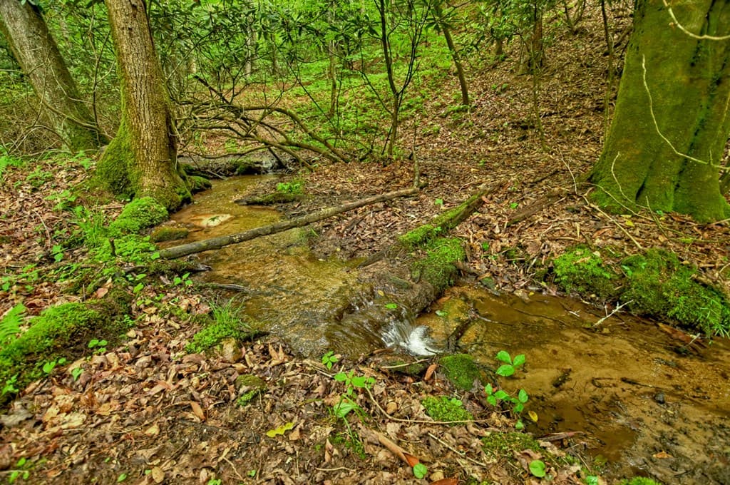 Lot 68 Riverwalk On The Toc, Mineral Bluff GA 30559 - Photo