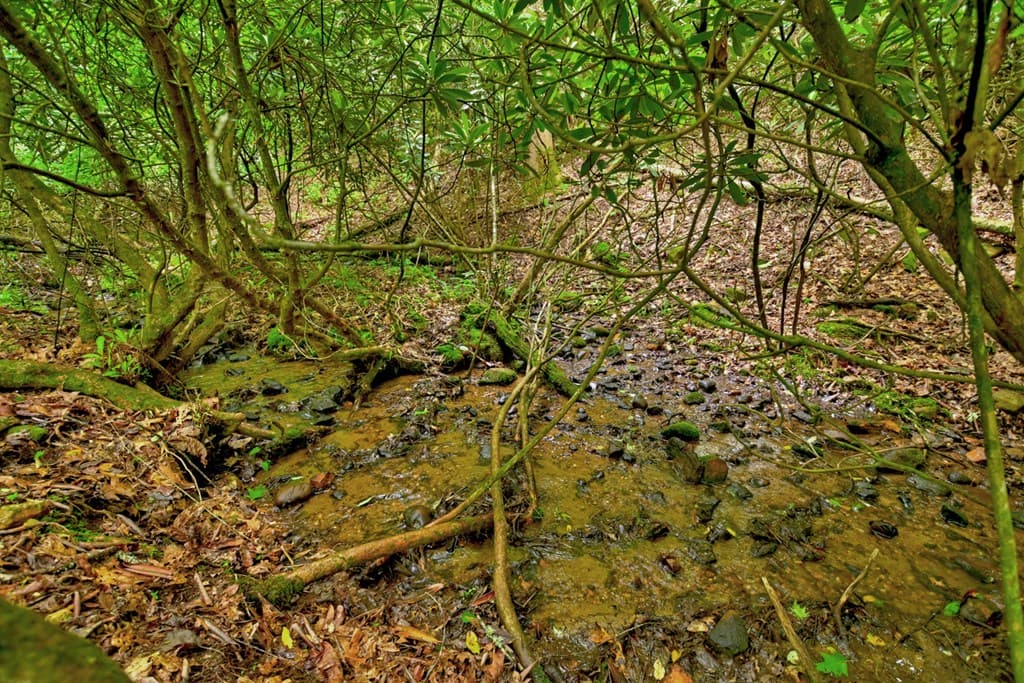 Lot 68 Riverwalk On The Toc, Mineral Bluff GA 30559 - Photo