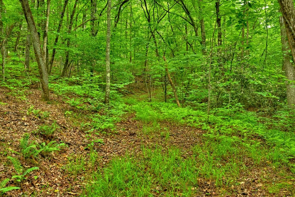 Lot 68 Riverwalk On The Toc, Mineral Bluff GA 30559 - Photo