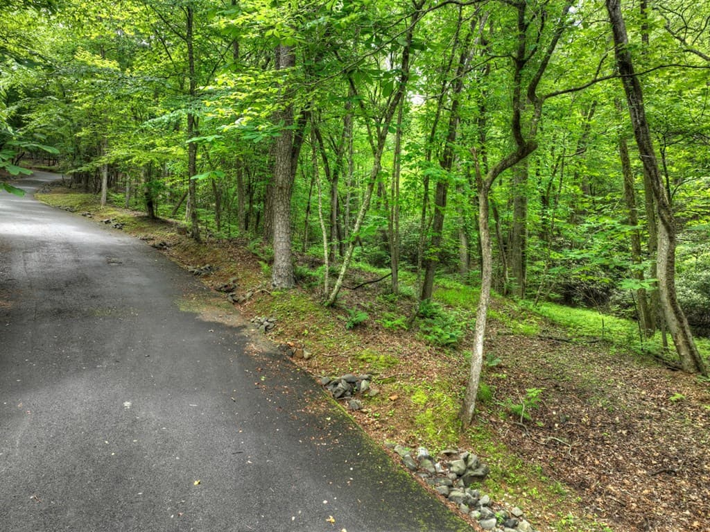 Lot 68 Riverwalk On The Toc, Mineral Bluff GA 30559 - Photo