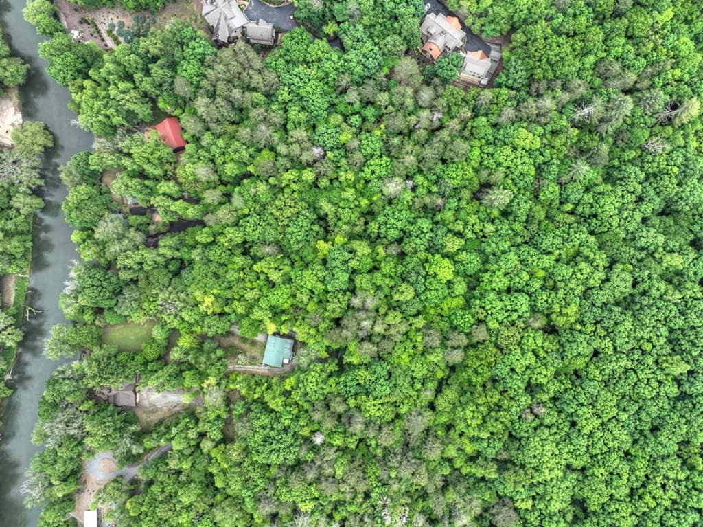 Lot 68 Riverwalk On The Toc, Mineral Bluff GA 30559 - Photo
