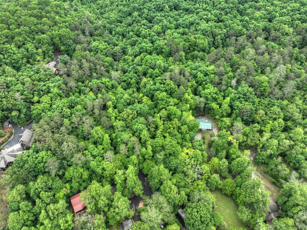 Lot 68 Riverwalk On The Toc, Mineral Bluff GA 30559 - Photo