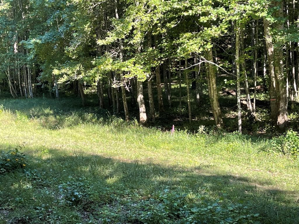 5 Tusquittee Crossing, Hayesville NC 28904 - Photo