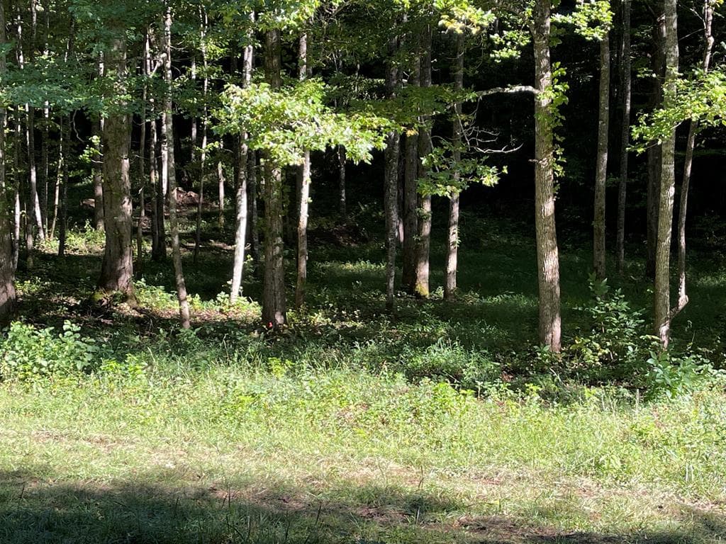 5 Tusquittee Crossing, Hayesville NC 28904 - Photo