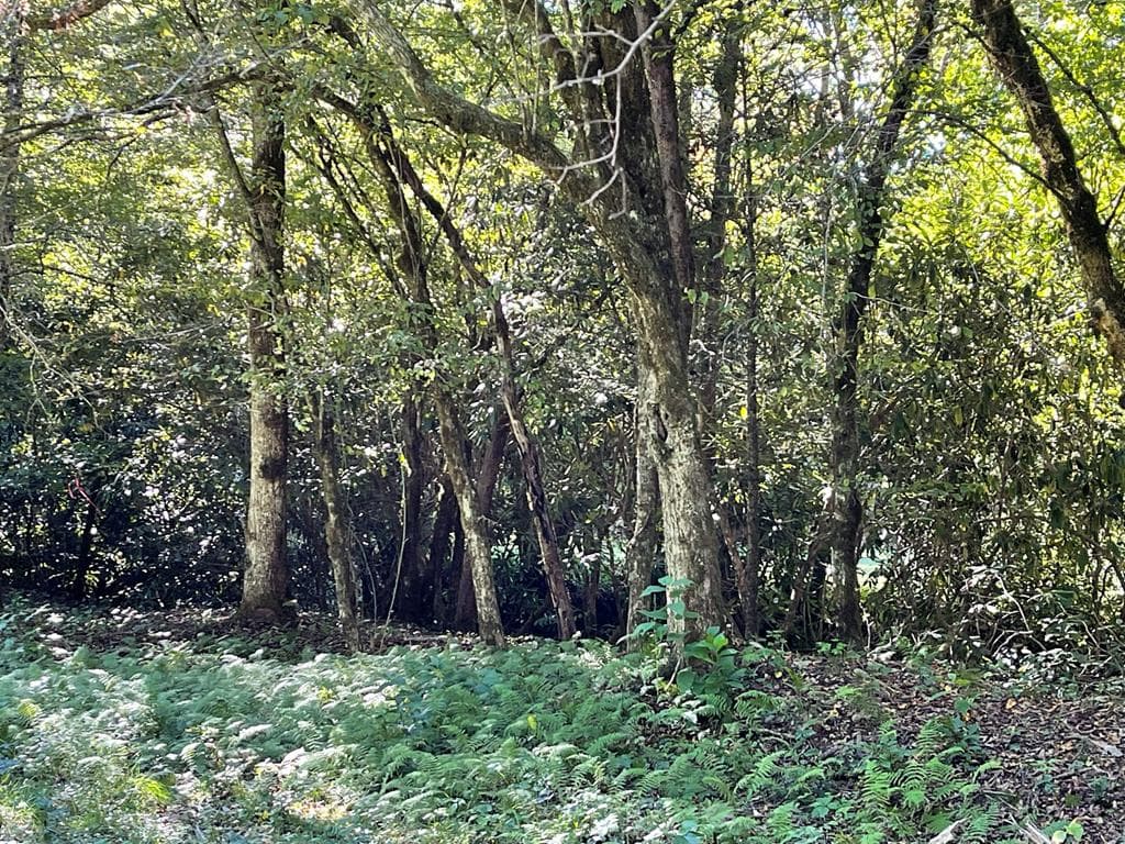 5 Tusquittee Crossing, Hayesville NC 28904 - Photo