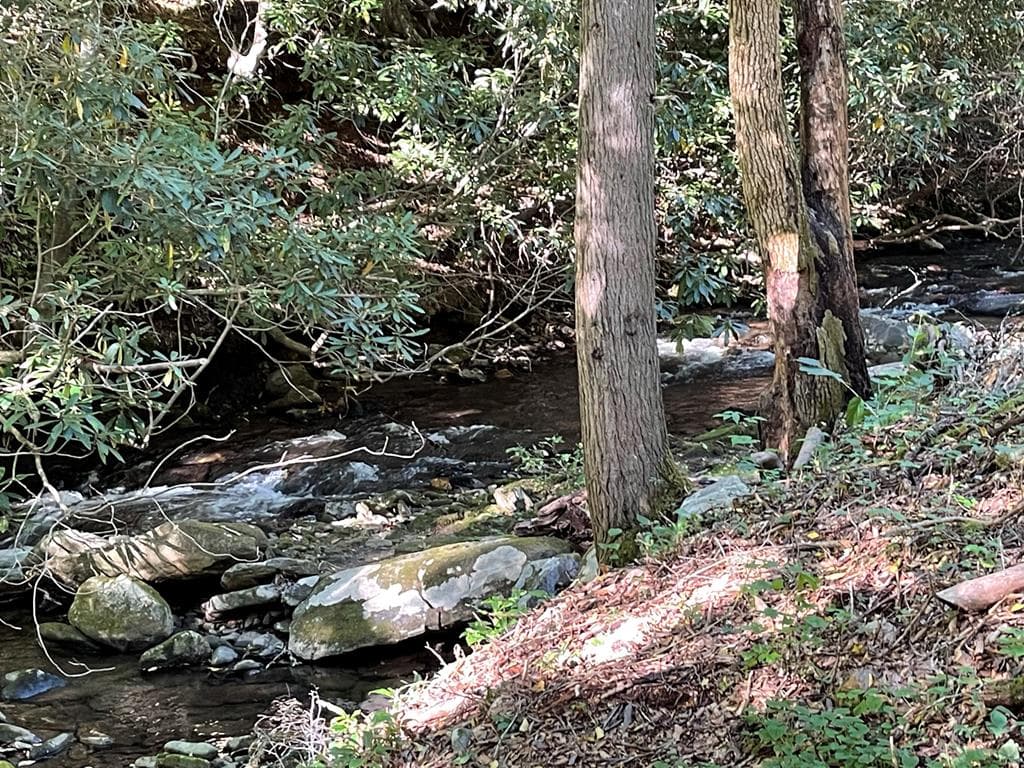 5 Tusquittee Crossing, Hayesville NC 28904 - Photo