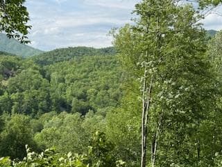 43 Tusquittee Crossing, Hayesville NC 28904 - Photo