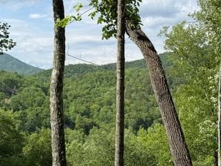 43 Tusquittee Crossing, Hayesville NC 28904 - Photo