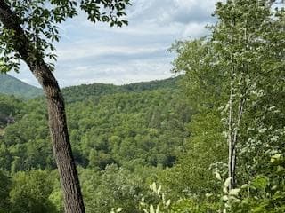 43 Tusquittee Crossing, Hayesville NC 28904 - Photo