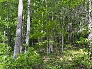 43 Tusquittee Crossing, Hayesville NC 28904 - Photo