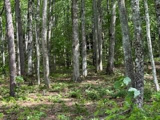 43 Tusquittee Crossing, Hayesville NC 28904 - Photo