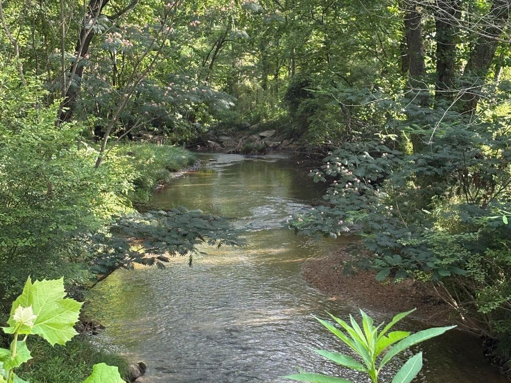 5827 Brasstown Creek Est, Young Harris GA 30582 - Photo