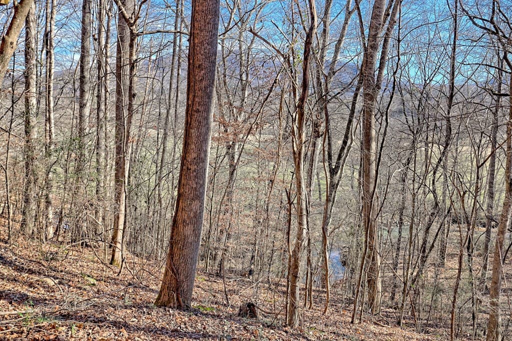 5827 Brasstown Creek Est, Young Harris GA 30582 - Photo