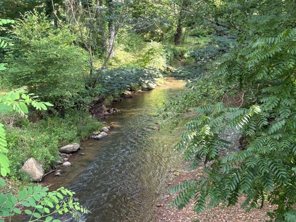 5827 Brasstown Creek Est, Young Harris GA 30582 - Photo