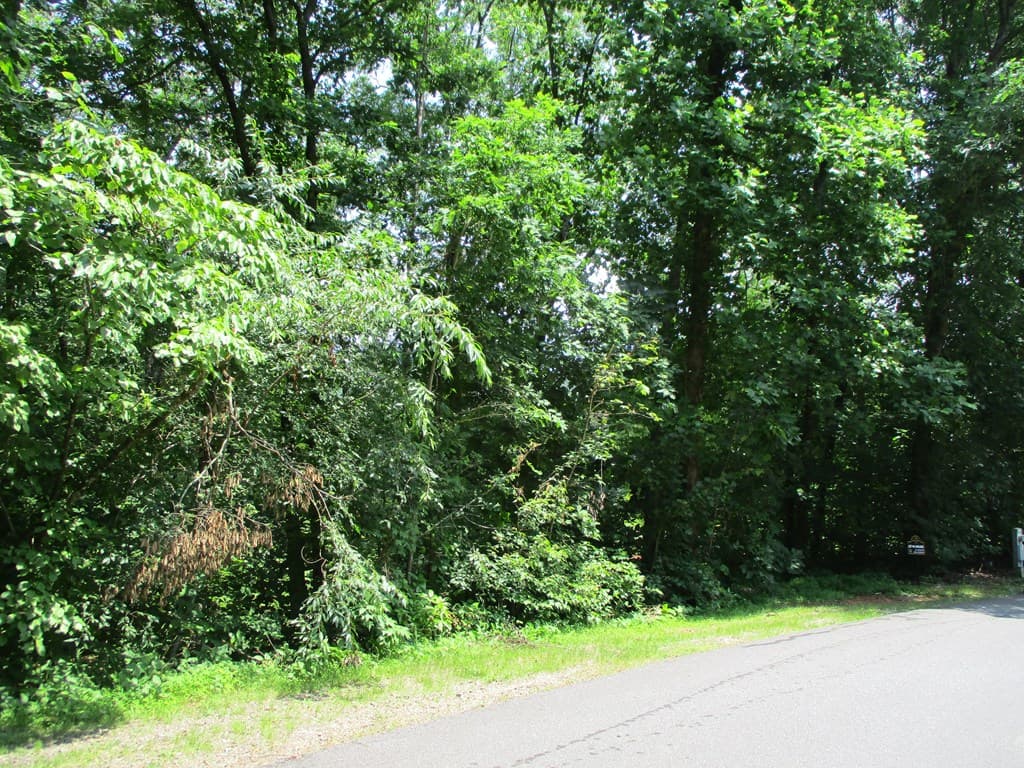 74A Licklog Ridge, Hayesville NC 28904 - Photo