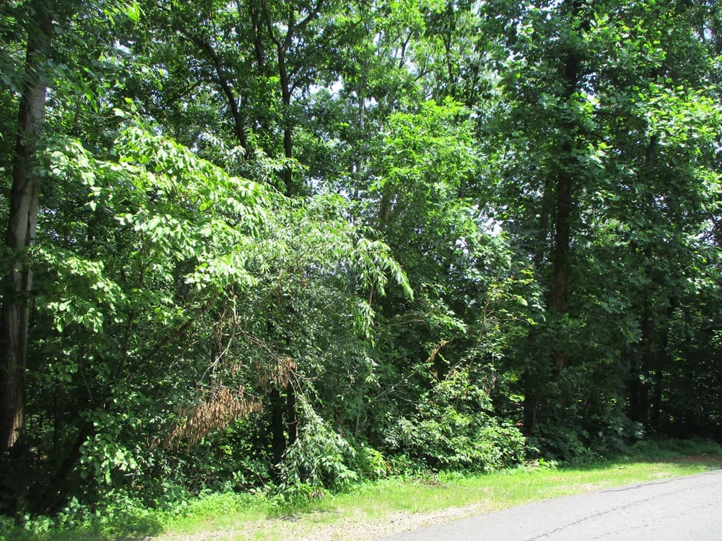 74A Licklog Ridge, Hayesville NC 28904 - Photo