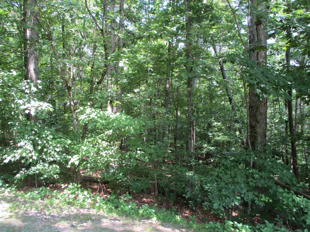 74A Licklog Ridge, Hayesville NC 28904 - Photo