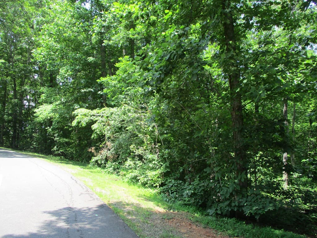74A Licklog Ridge, Hayesville NC 28904 - Photo