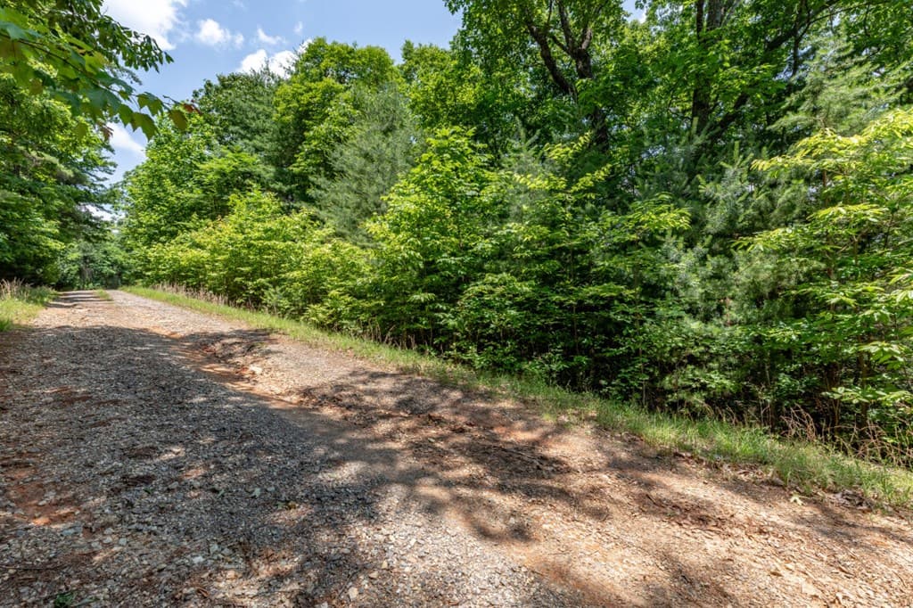 Lot 6 Wild Turkey, Young Harris GA 30582 - Photo