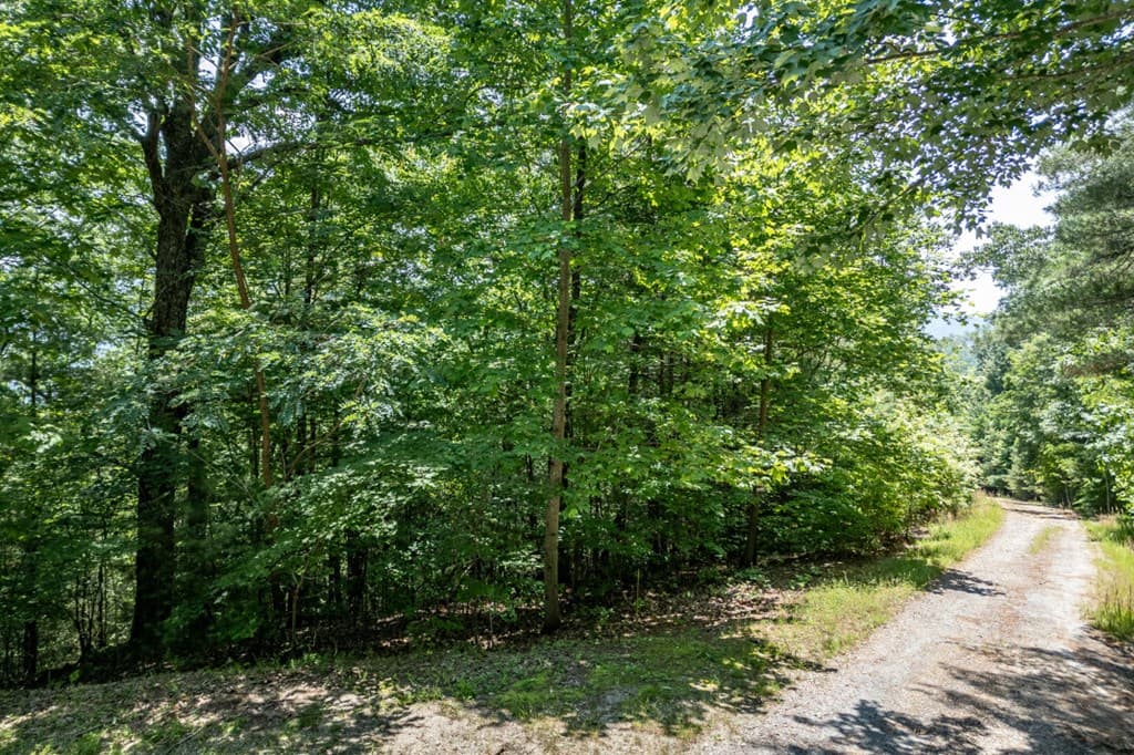 Lot 6 Wild Turkey, Young Harris GA 30582 - Photo