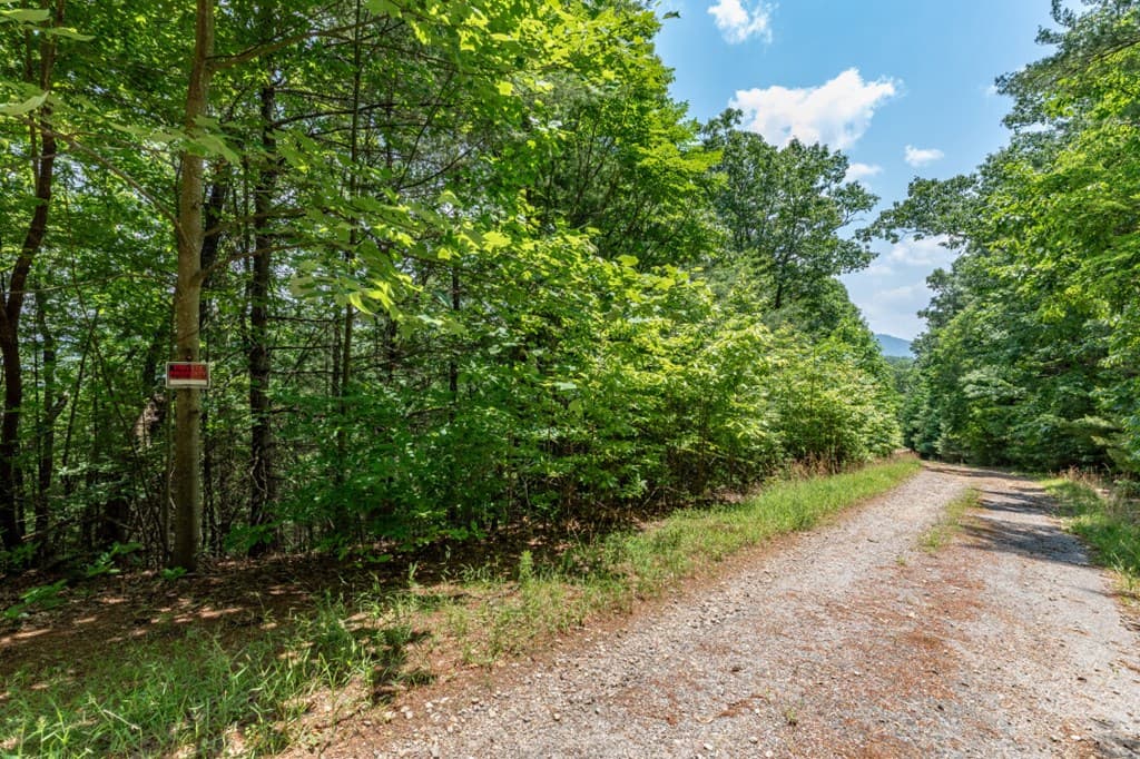 Lot 6 Wild Turkey, Young Harris GA 30582 - Photo