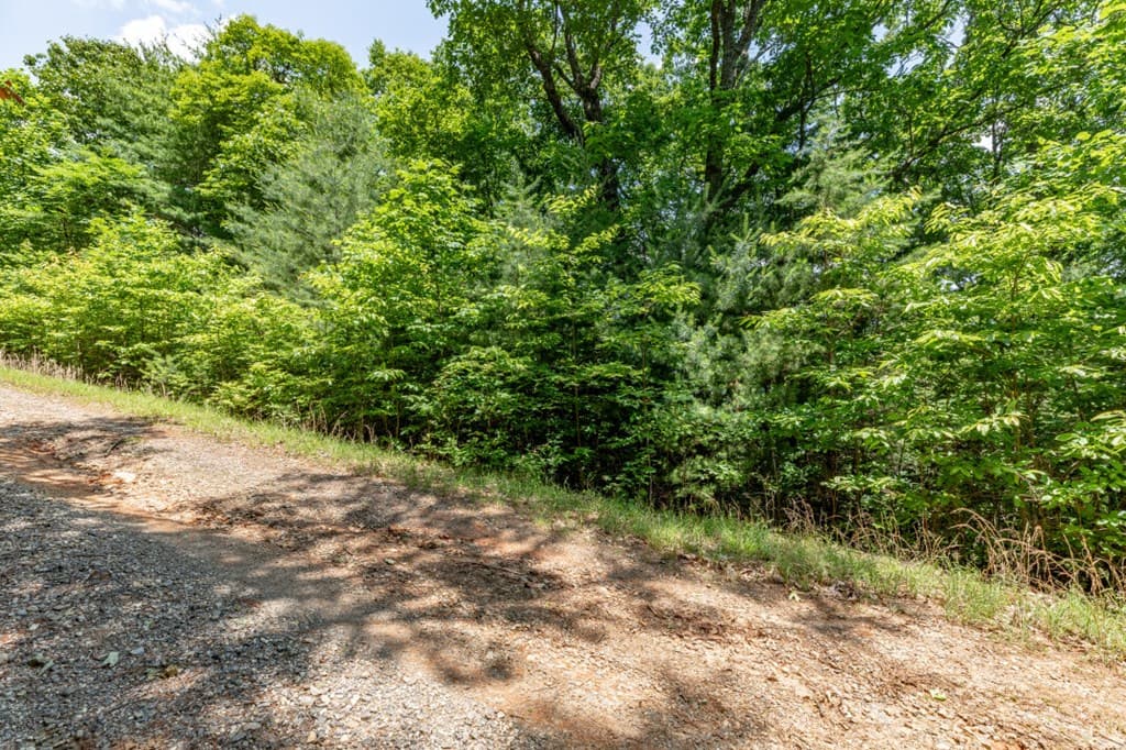 Lot 6 Wild Turkey, Young Harris GA 30582 - Photo