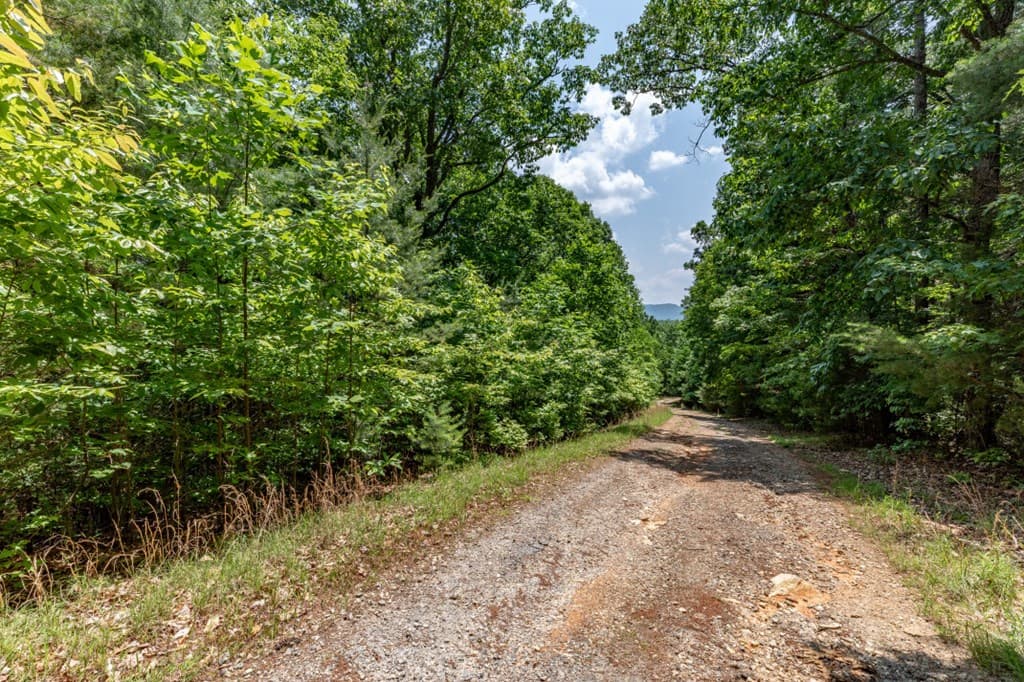 Lot 6 Wild Turkey, Young Harris GA 30582 - Photo