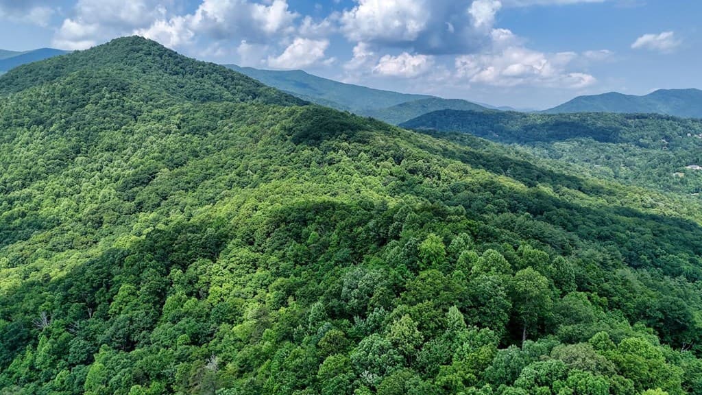 1795 Ivy Mountain Road, Hiawassee GA 30546 - Photo