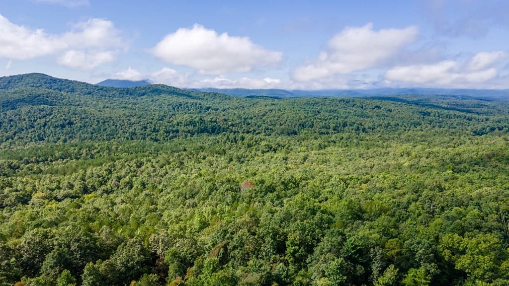 192 Oak Ridge Way, Morganton GA 30560 - Photo