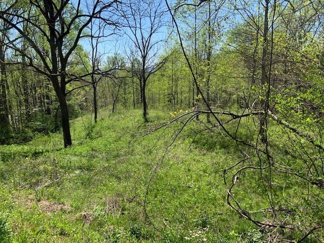 Lot 6 High Meadows, Hayesville NC 28904 - Photo