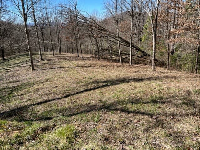Lot 6 High Meadows, Hayesville NC 28904 - Photo