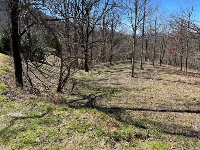 Lot 6 High Meadows, Hayesville NC 28904 - Photo