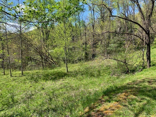 Lot 6 High Meadows, Hayesville NC 28904 - Photo