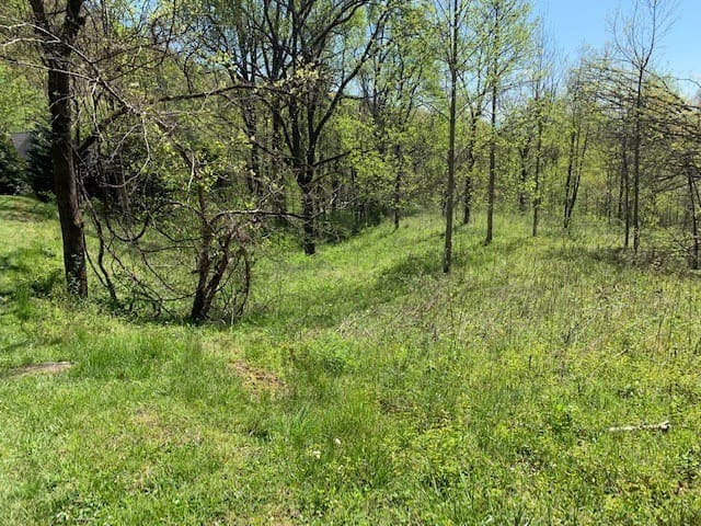 Lot 6 High Meadows, Hayesville NC 28904 - Photo