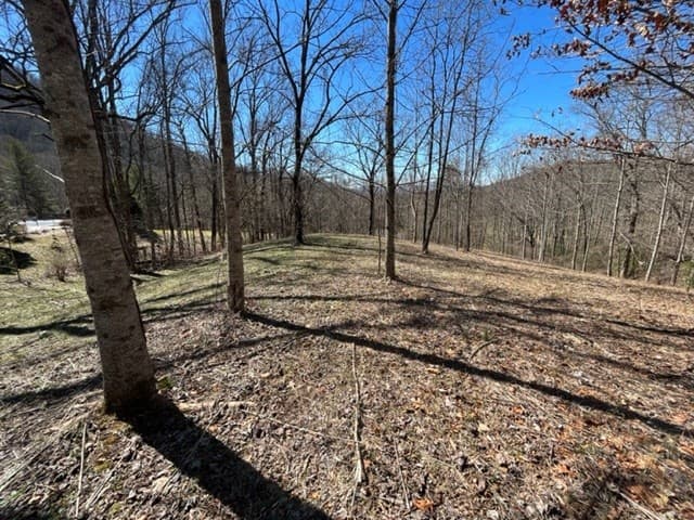Lot 6 High Meadows, Hayesville NC 28904 - Photo