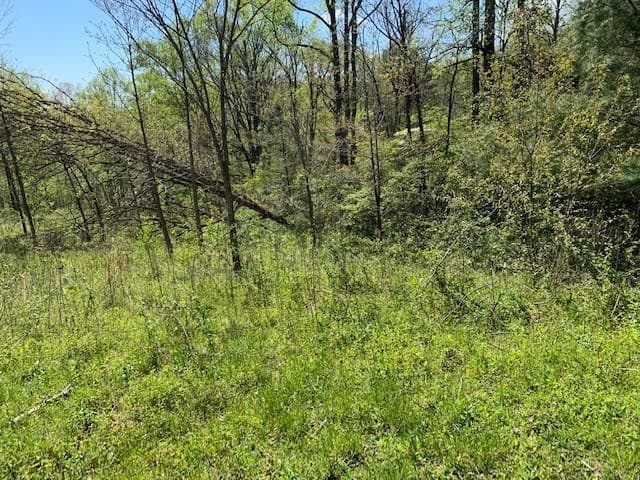 Lot 6 High Meadows, Hayesville NC 28904 - Photo