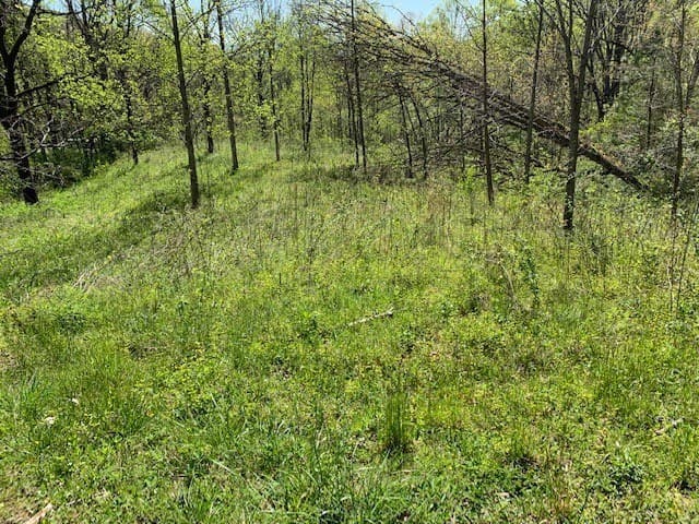 Lot 6 High Meadows, Hayesville NC 28904 - Photo